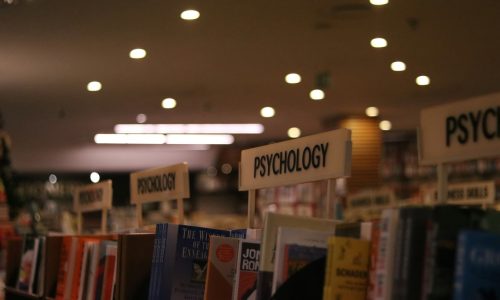 Study AI Tools